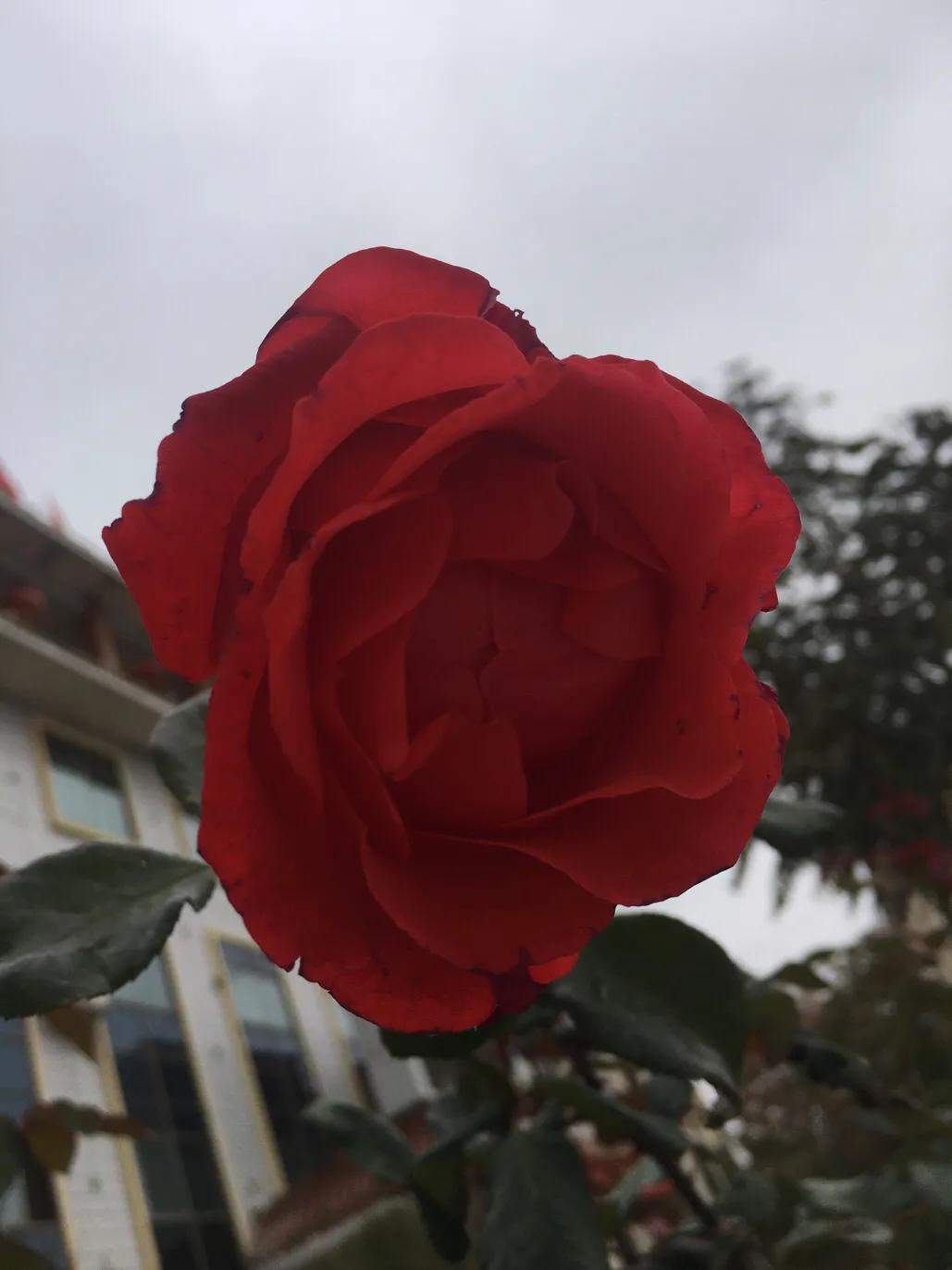 2019年最狠的五个段子太幽默,2018年最牛的段子