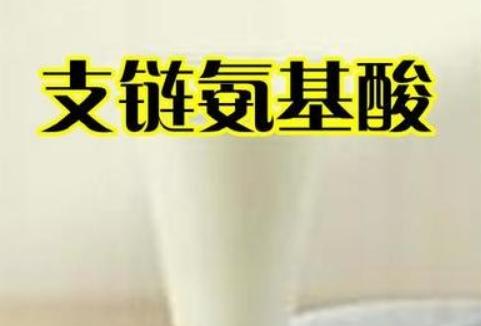 喝蛋白粉练得都是死肌肉,喝补剂练出来的都是死肌肉吗