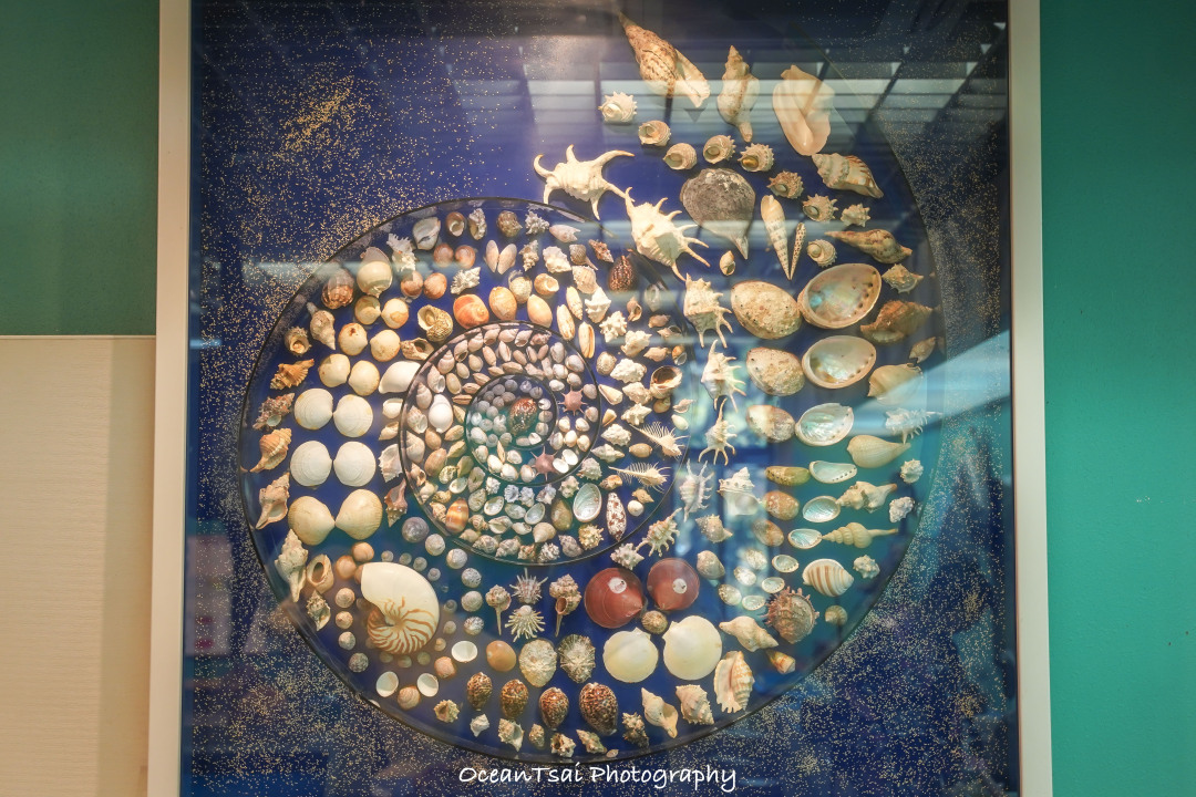 日本游轮游避坑,日本邮轮八天七夜具体行程