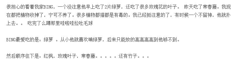 家里养花可以养狗吗,养猫家里不能养哪些花草