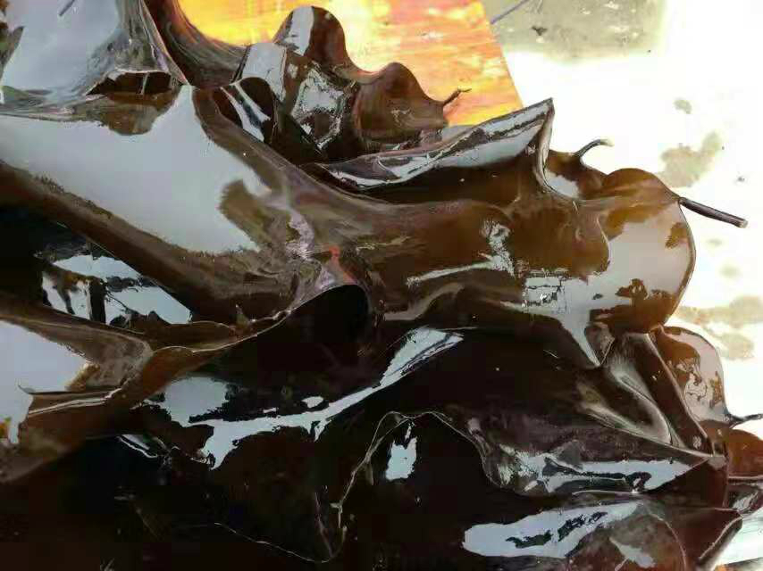 如何挑选又厚又好的干海带,包小仙裙带菜