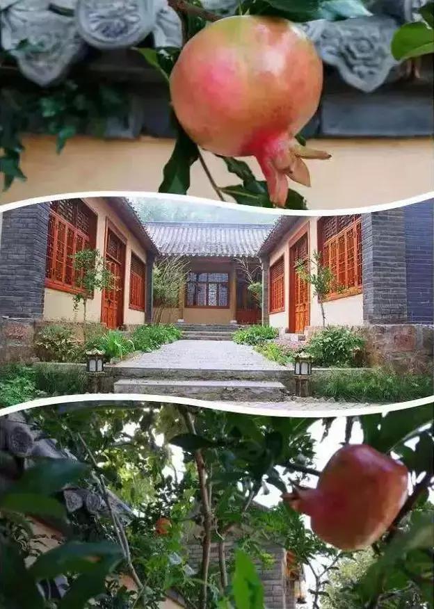 孟津值得去的景点,孟津有啥好的旅游景点