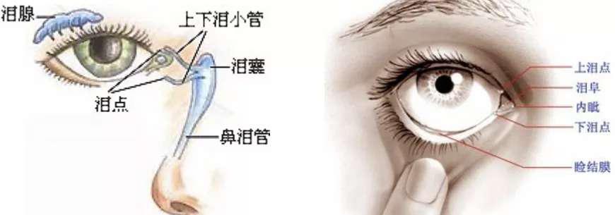 泪点低是什么病,情绪容易低落泪点低是病吗