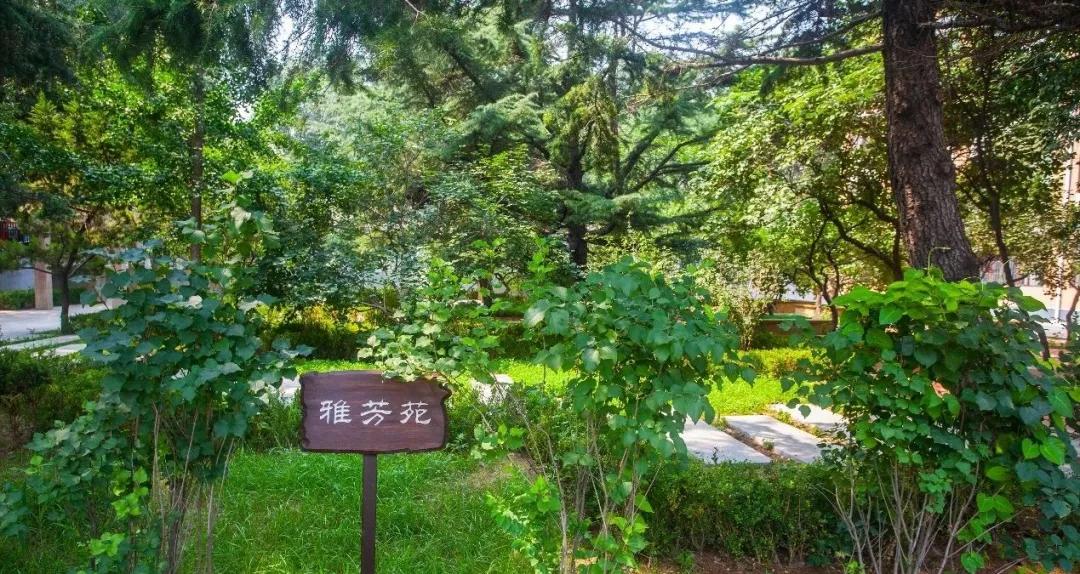 大连五中vs金州高级中学,大连五中高中