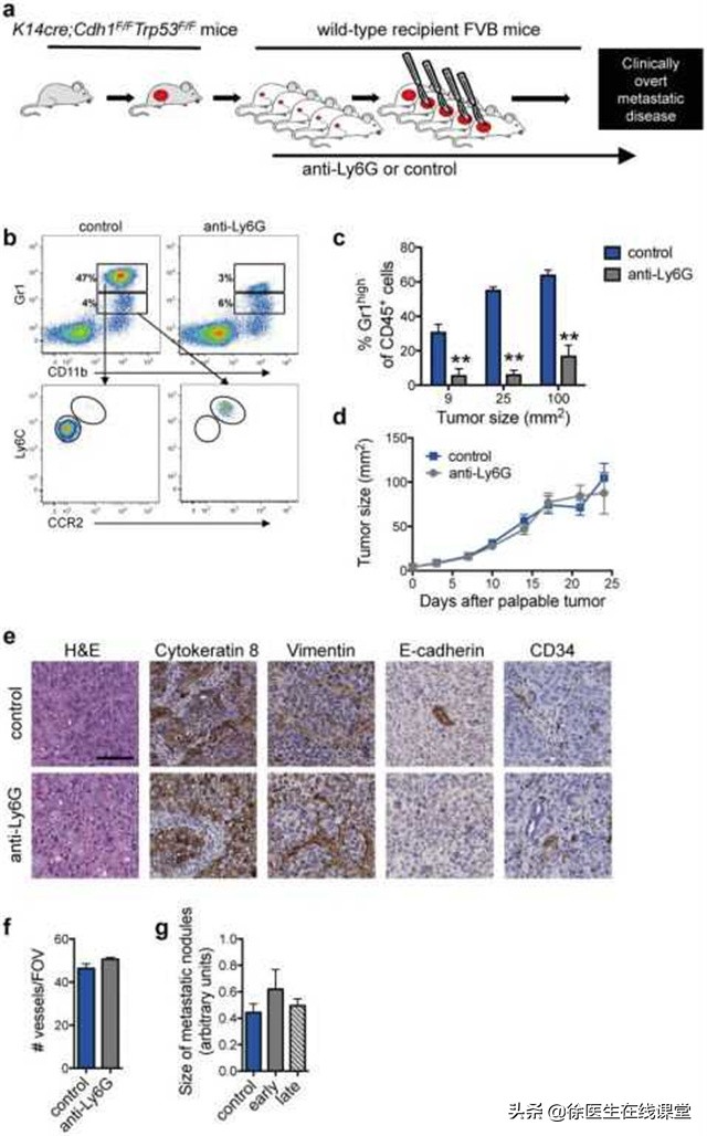 从炎症到癌症，一般需要多长时间？医生：3种炎症，尽量不要拖