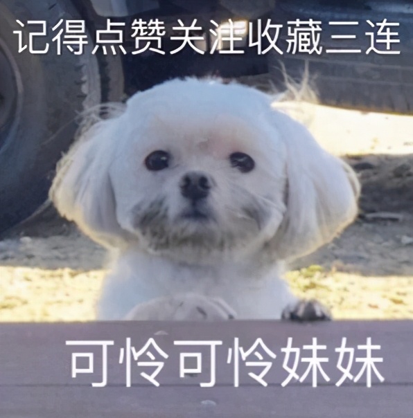 wildfieldhealth是什么牌子,wildfieldhealth与诺特兰德