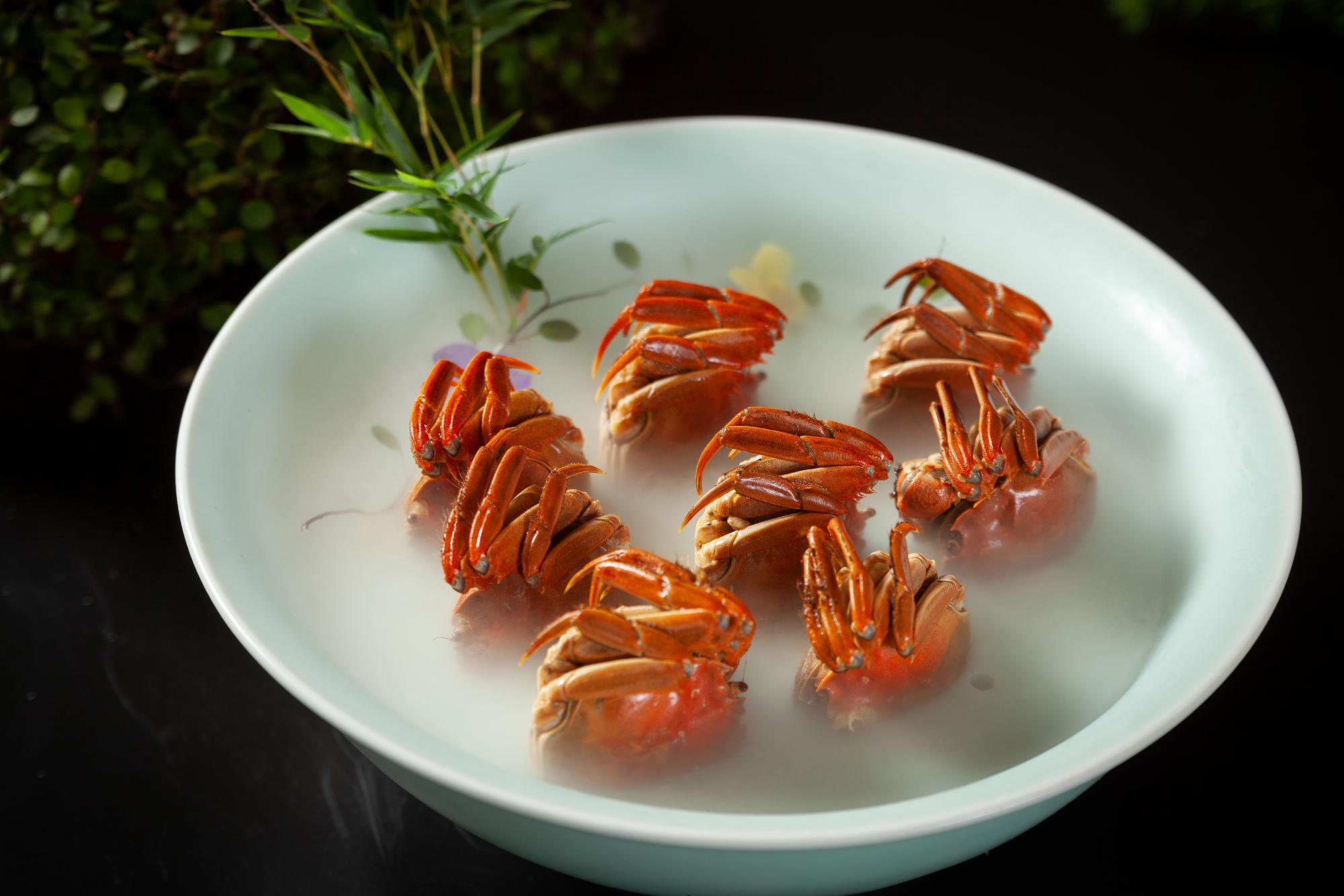 饿了么外卖家常菜,饿了么绍兴直播