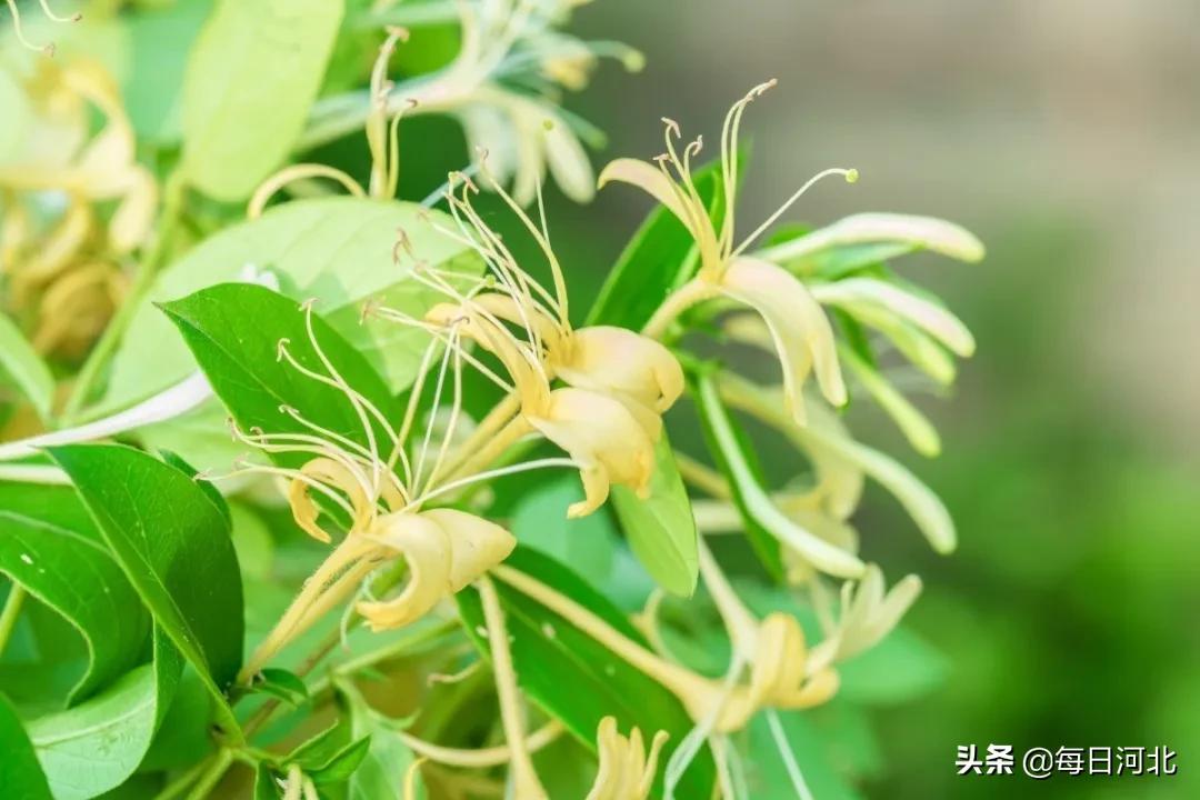 一个温暖又有趣的酒店,选择一个舒适温暖的酒店