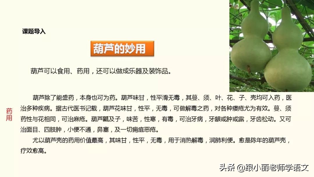 二年级我要的是葫芦的寓意是什么,二年级我要的是葫芦说明什么道理