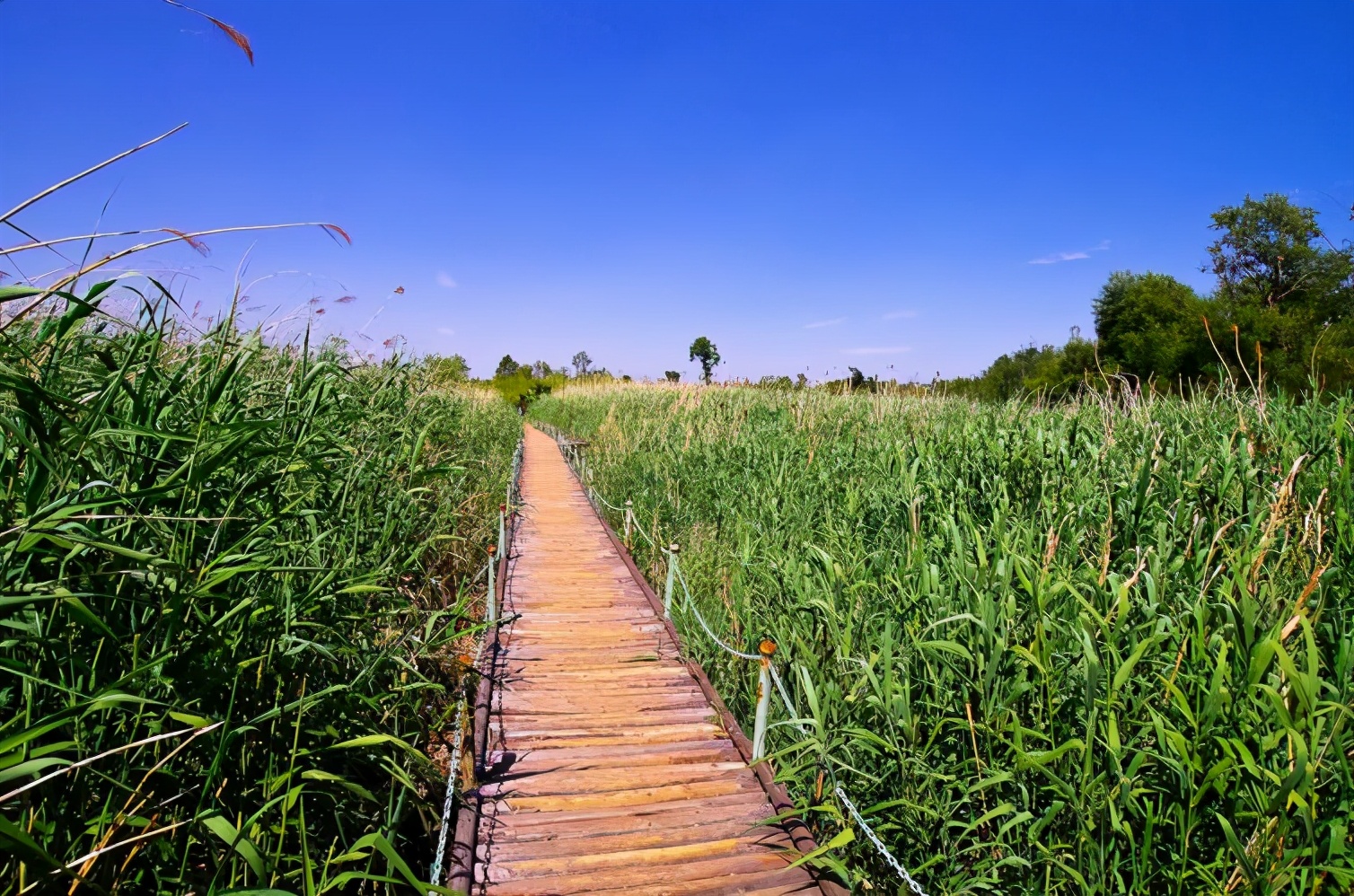 昆明周边美食一日游自驾游,昆明周边自驾游露营视频