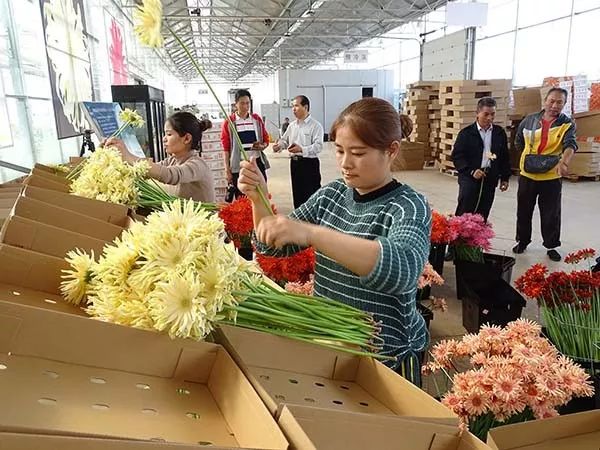 推动绿色发展（64）丨云南开远：污染之城蜕变为生态宜居之城