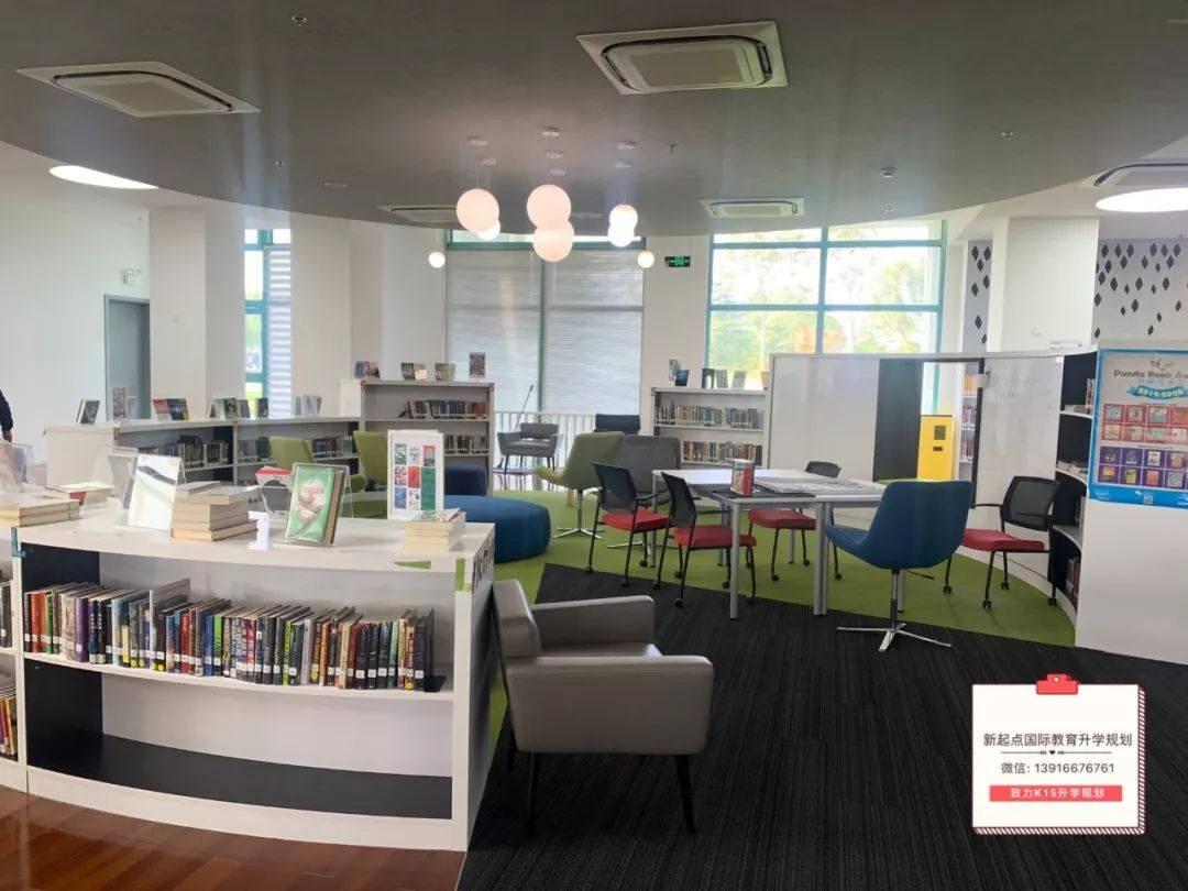 上海宋庆龄国际学校高中开设课程,国际教育探校