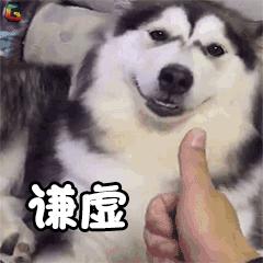 陈翔蒋梦婕综艺节目,陈翔蒋梦婕