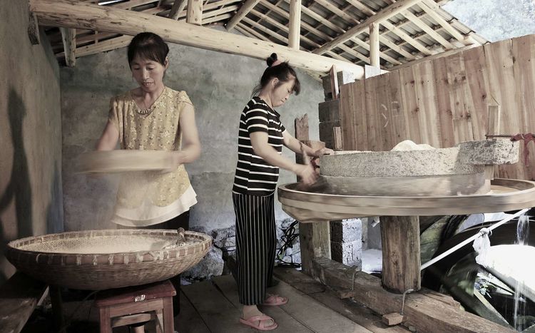8月向日葵云海(徽州百工、黟县的朋友圈、瓷都景德镇)采风