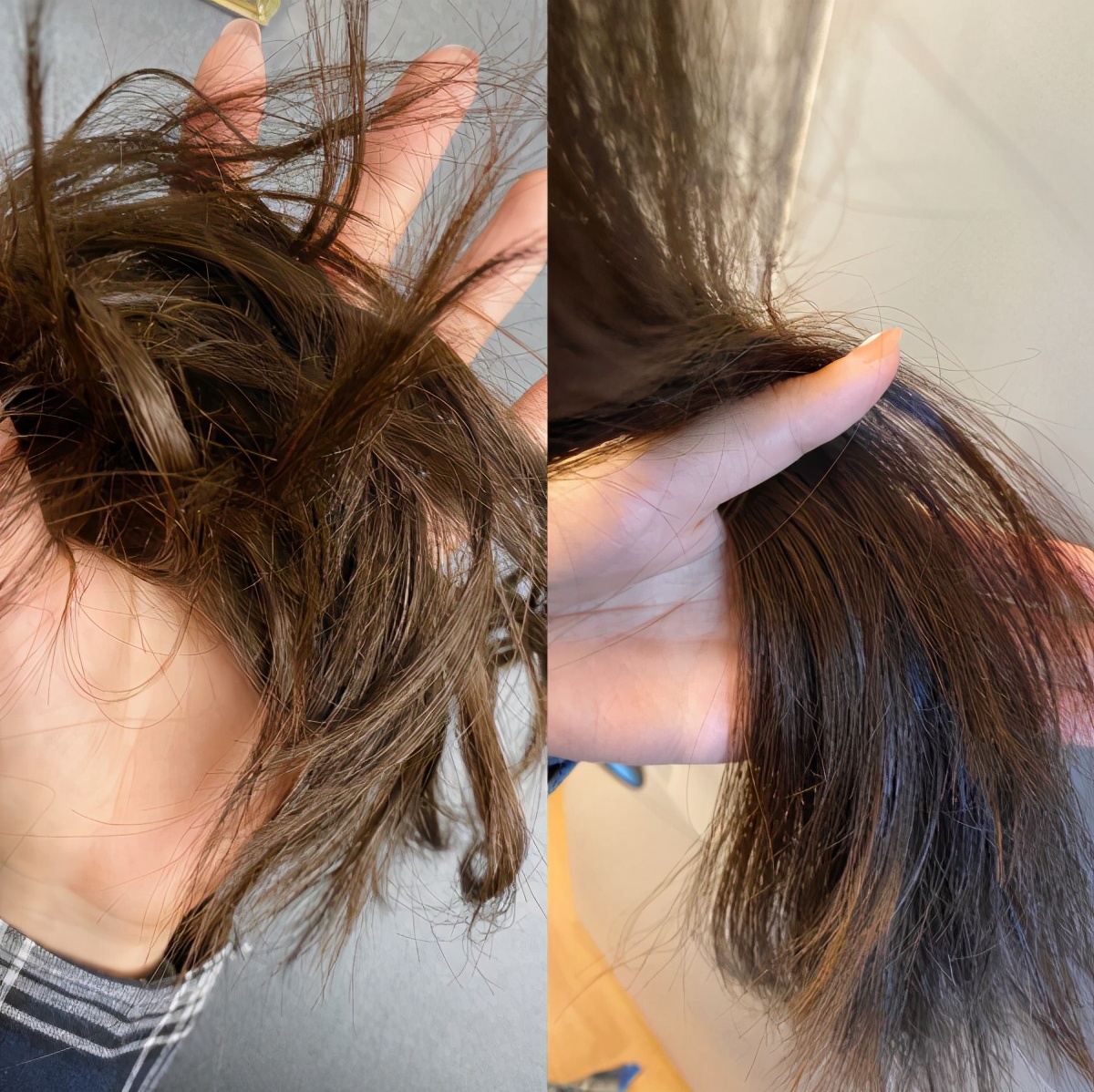 forvil温莎森林黑松露,forvil温莎森林黑松露洗护套装