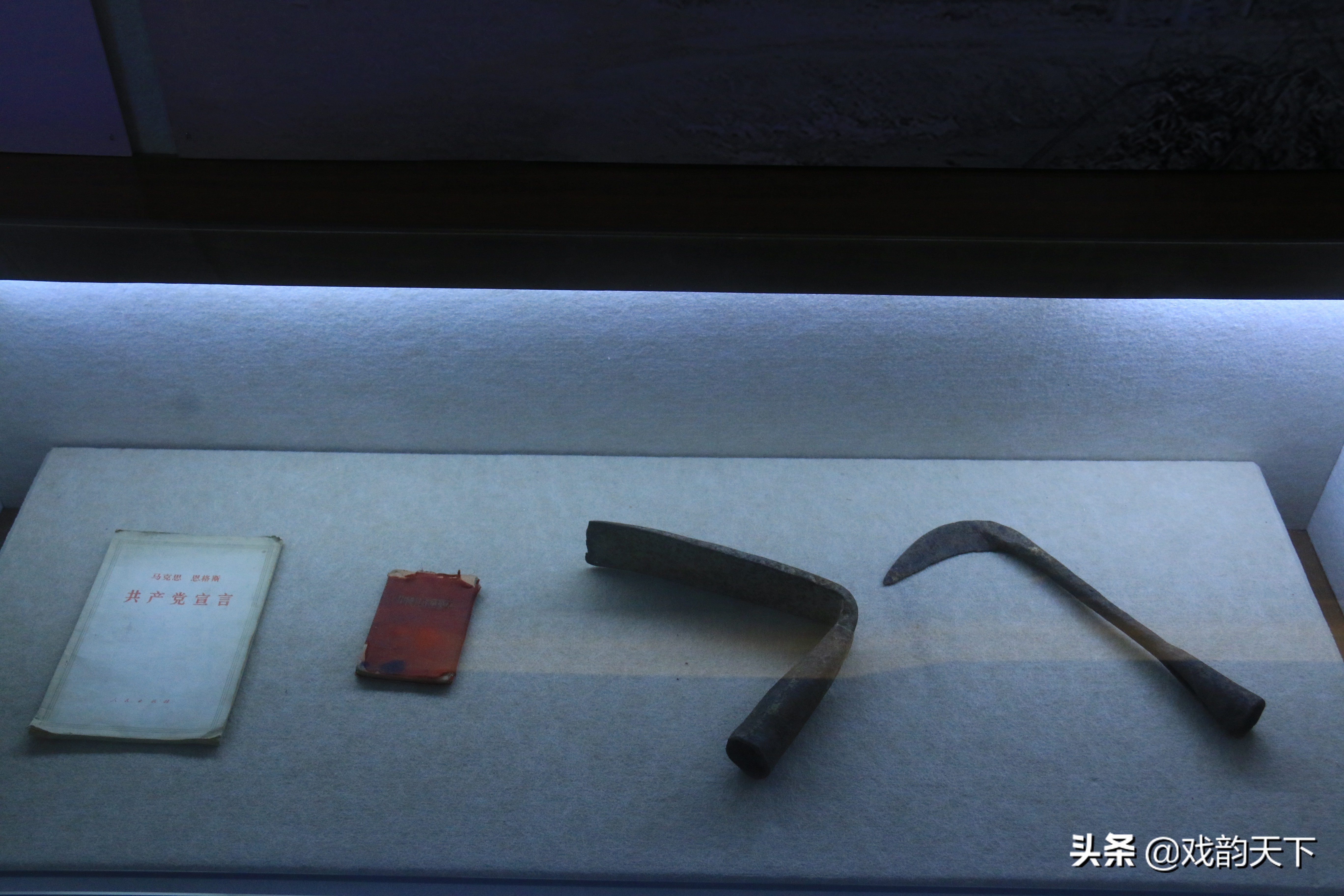 九品巡检最新视频,九品巡检官在哪里