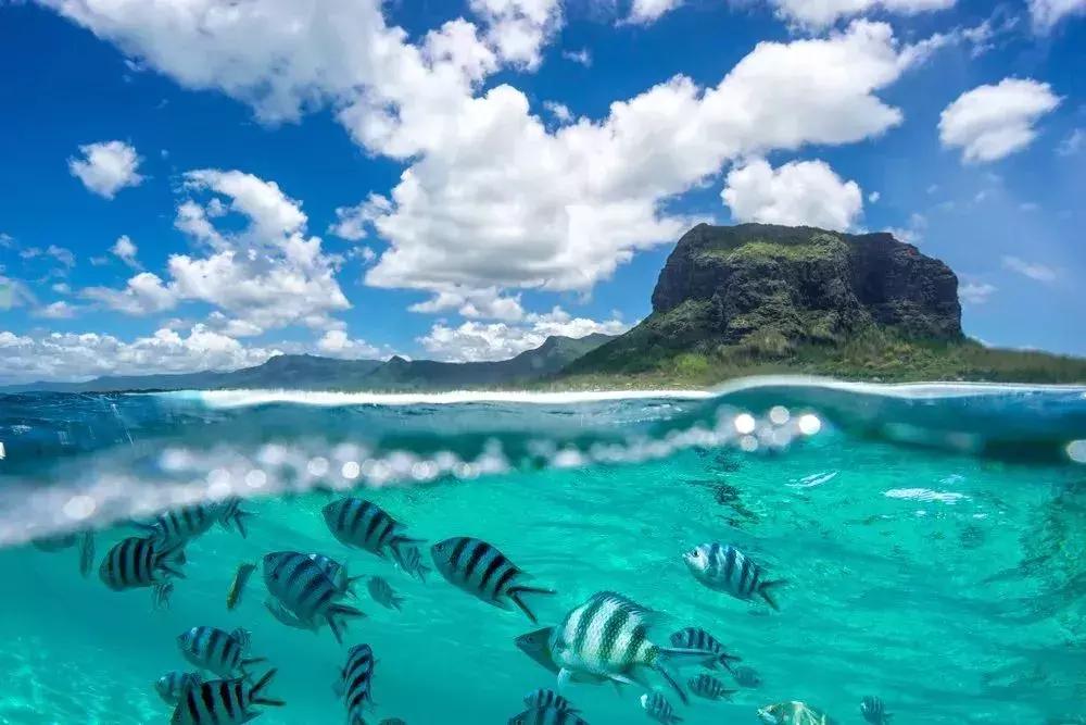 6天免签出境游,免签国家旅行攻略