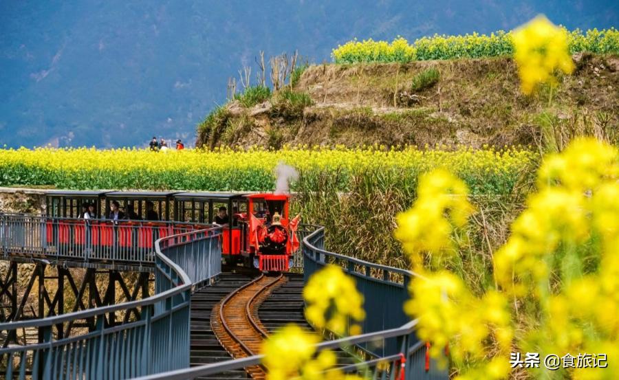 青田的青田,青田是中国的华侨之乡