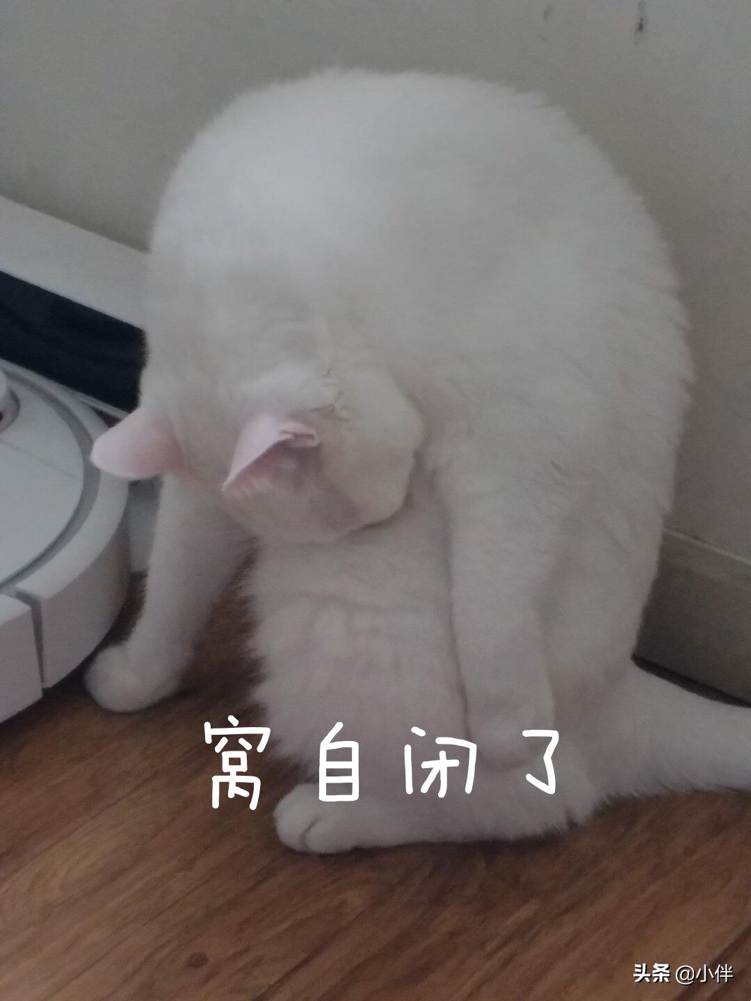 暑假在家被嫌弃是种什么体验,暑假在家的你被妈妈嫌弃了吗