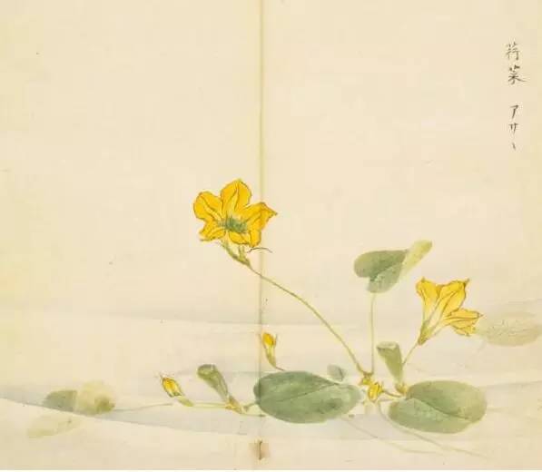 五千年来最美的20首诗,100首美到窒息的诗句