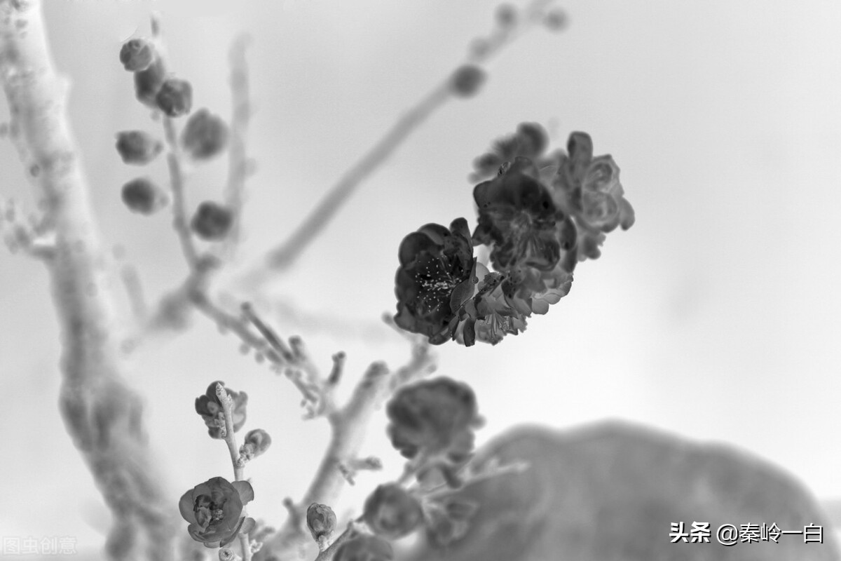 王冕是元朝末年的著名诗人与画家,元朝著名画家王冕的书画作品欣赏