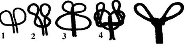 户外绳结编法大全图解,教大家一个户外绳结用于野外狩猎