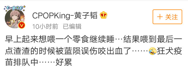 黄子韬被误伤的视频,黄子韬被狗狗咬