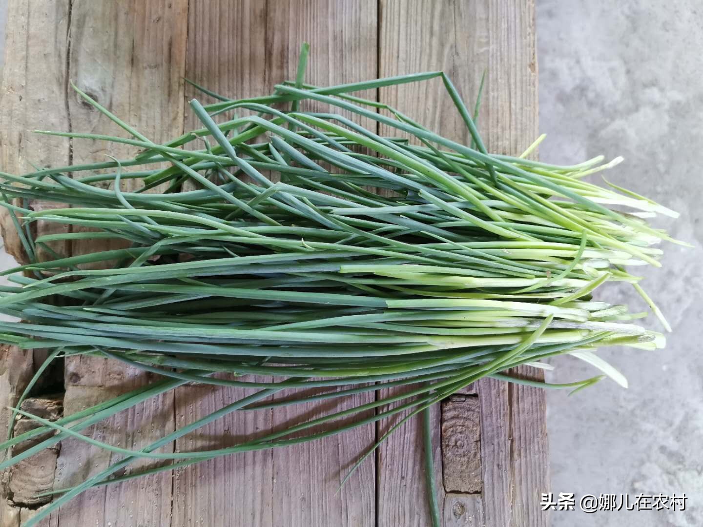 喜欢在阳台种菜种花,喜欢在阳台打理花草