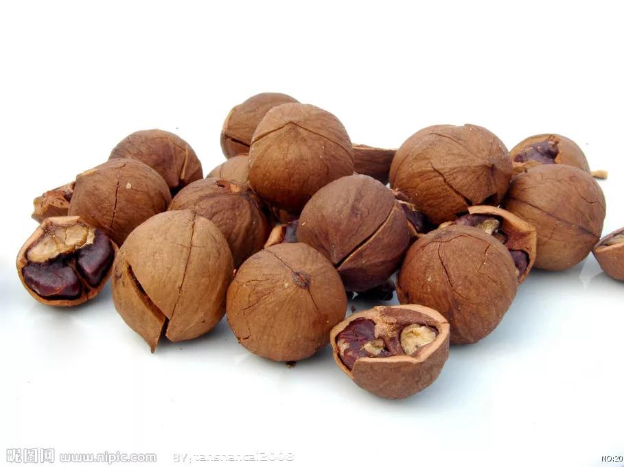 你买的年货干果，来自哪些植物？一文读懂