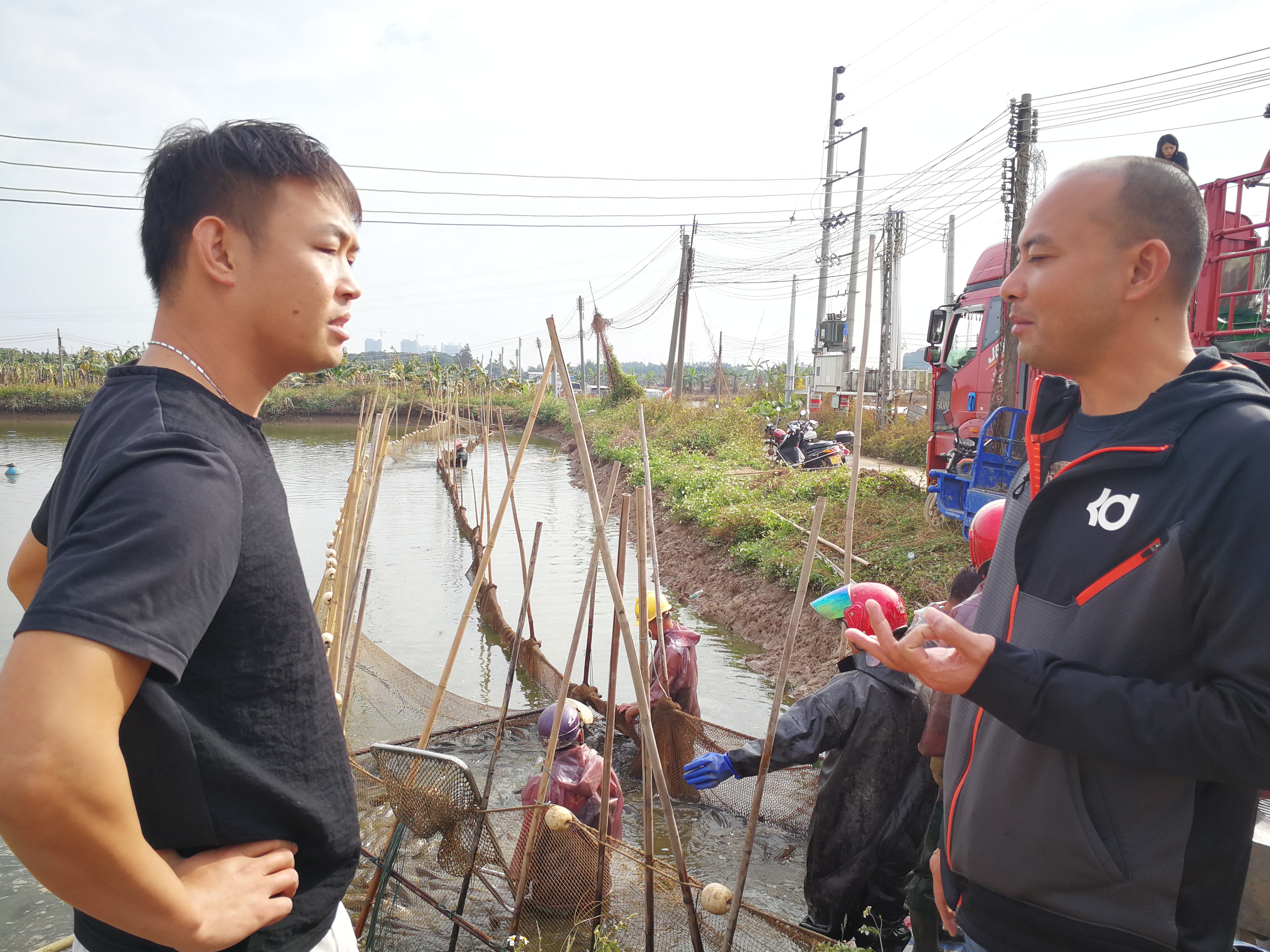 泥鳅养殖每亩投多少苗,泥鳅养殖一亩收益多少钱