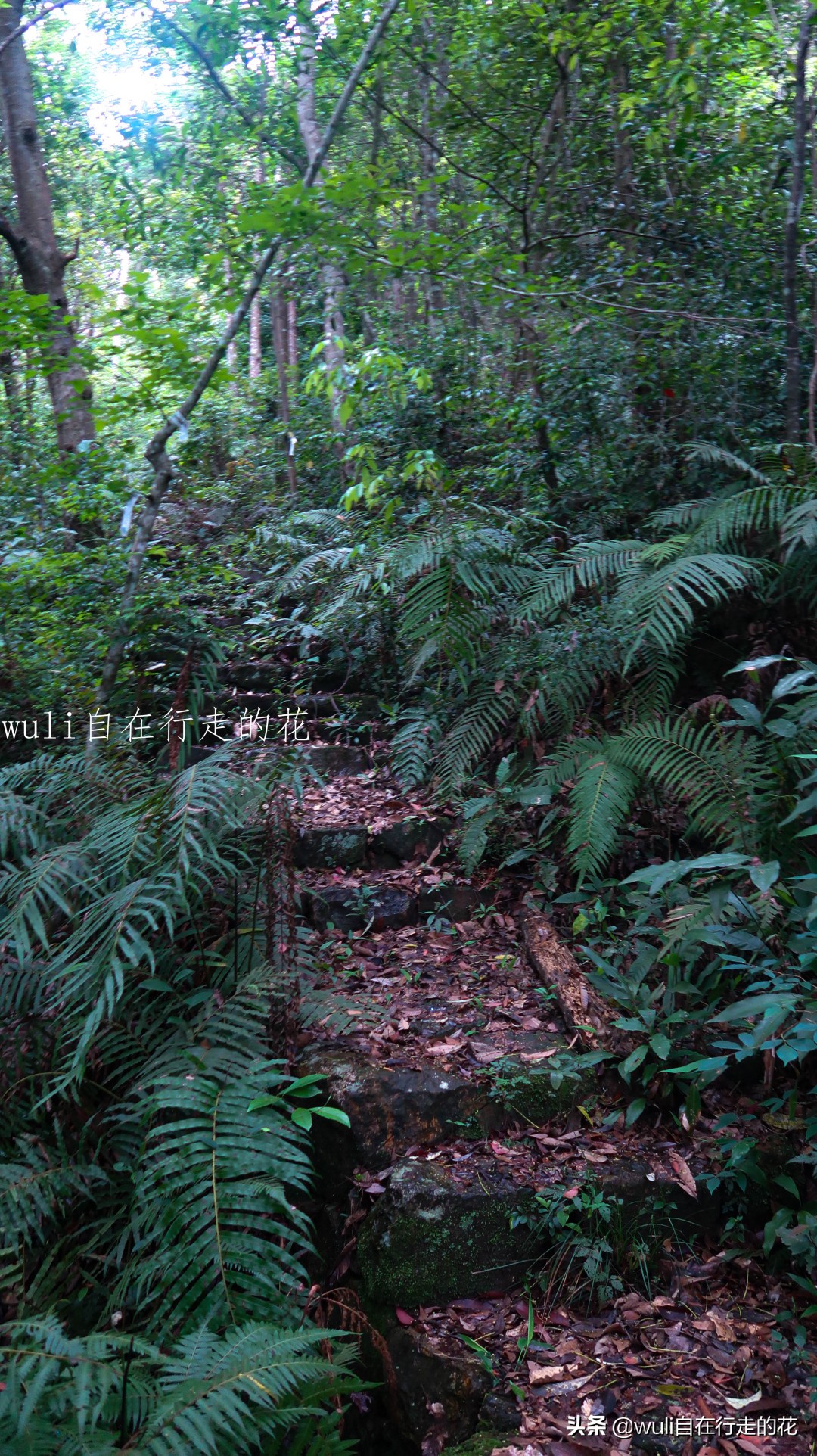 福州十八重溪徒步路线,福州森林公园登山徒步路线