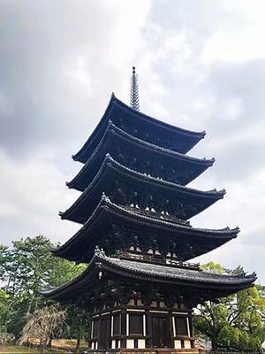 2020鏃ユ湰澶ч槳,澶ч槳浜兘濂堣壇鍏ぉ瀹夋帓