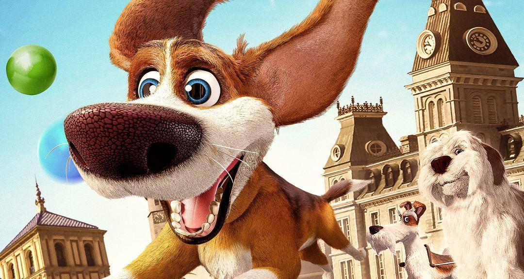 哪个品种的狗狗又好养又乖巧懂事,什么品种的狗狗适合有孩子家庭养