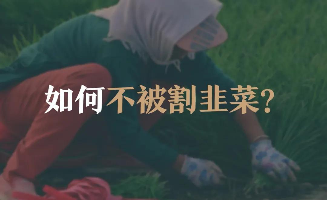 中国互联网公司割韭菜10年简史