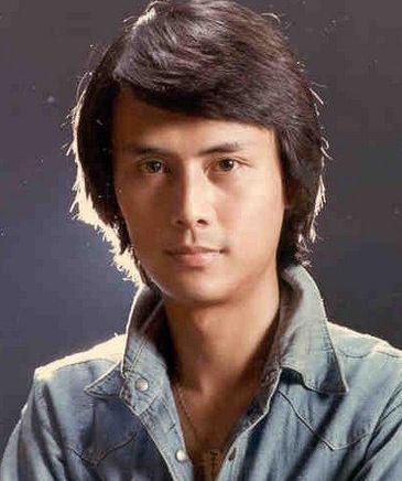 刘德凯5段婚姻,刘德凯闪婚事件