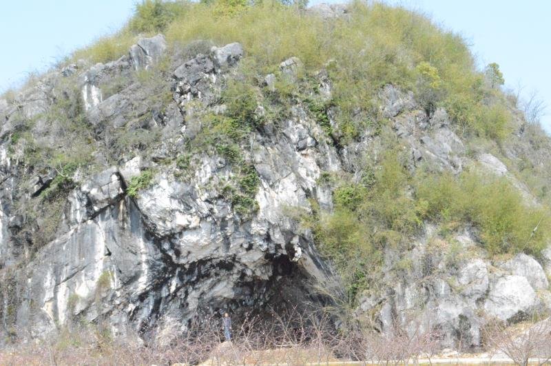 特色产业带动村民就业,产业发展和村民增收致富具体措施