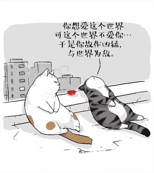 治愈3000万人的不开心，圈粉名人大咖，他从默默无闻到火遍全网