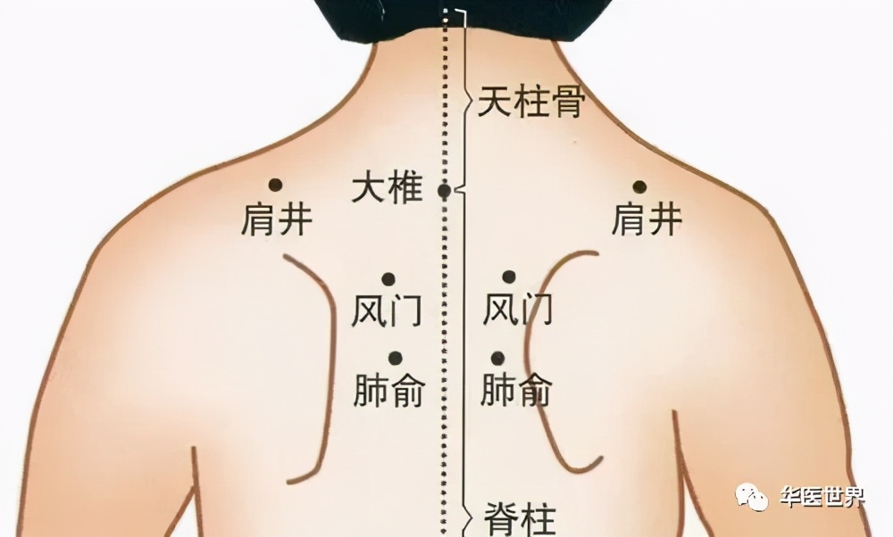 督脉治疗颈椎病的研究,穴位治疗颈椎病最快