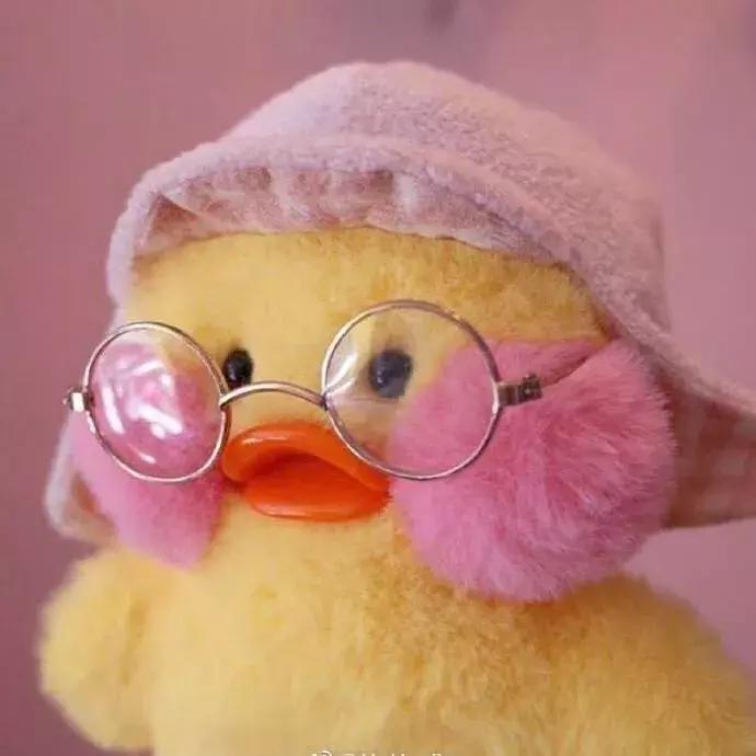 36张网红玻尿酸鸭头像图：遇见就好了，余生就算了