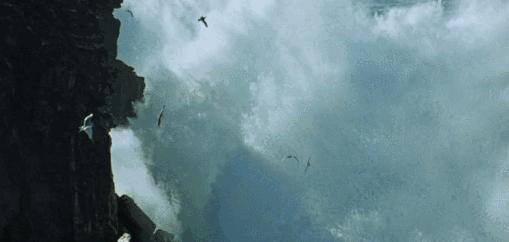 最大的陆生蟹椰子蟹,陆生寄居蟹会爬树吗