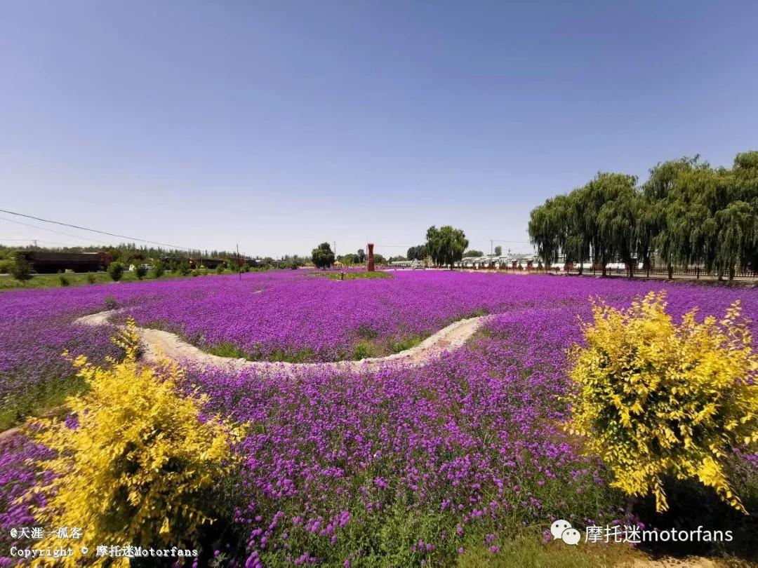 天津力帆k19,力帆摩托车k19骑行视频