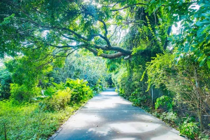 深圳一日游必去的地方有地铁站,深圳自驾游一日游最佳路线图
