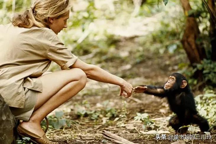 如何圆梦、创造奇迹?看了这6部高分人物传记纪录片,娃有了答案