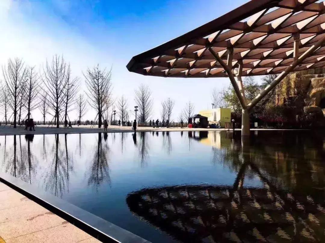 筑梦十年年会节目,筑梦十周年