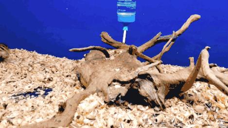 临沂海洋世界优惠券,临沂海洋世界特惠票