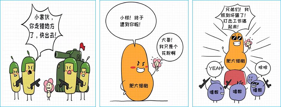 过敏反应的原理高中知识,过敏反应的机理图解