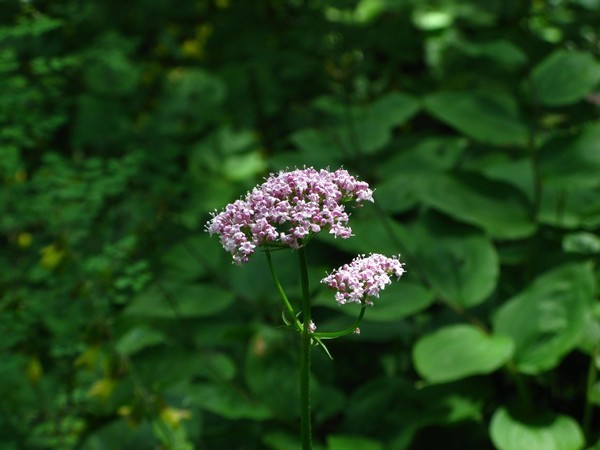 四姑娘山冬日旅行,2022年冬天四姑娘山游记