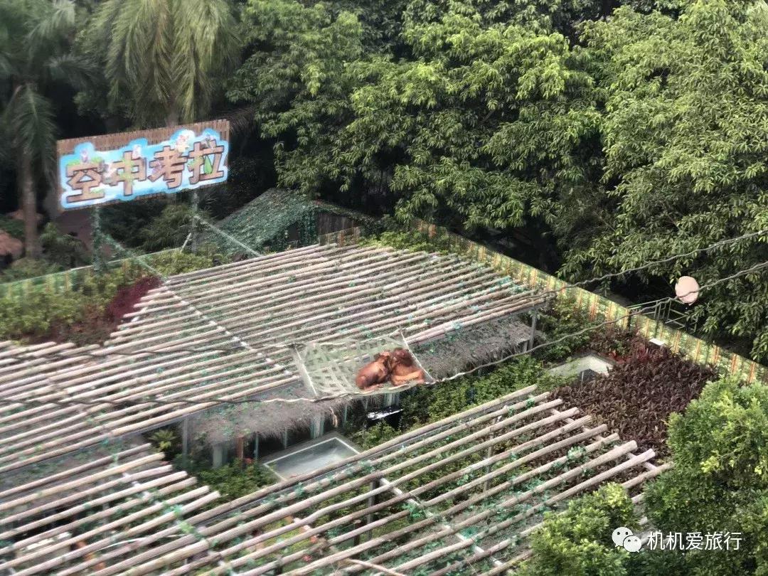 珠海长隆和广州长隆旅行攻略,珠海长隆和广州长隆旅游攻略区别