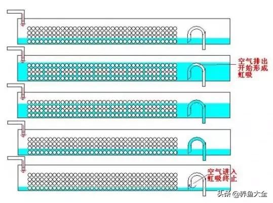 鱼缸各种过滤方式效果排名,细谈各种鱼缸过滤方法