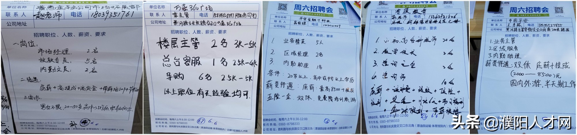 濮阳人才网春季招聘会,濮阳市人才市场招聘会